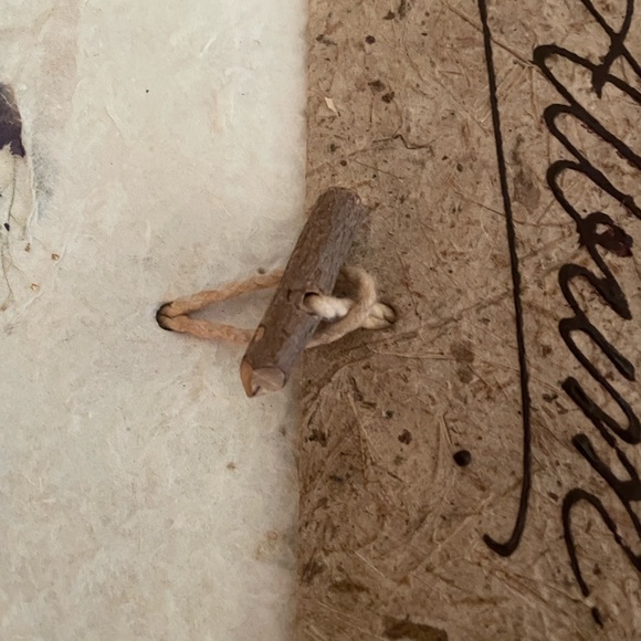 Handmade Scrapbook-organic/earthen Leaves,dried flowers,tree Brk, plant fibers - Picture 13 of 13